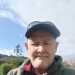 Steve's profile picture