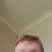 Aspxtt's profile picture