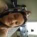 Eunice's profile picture