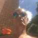 Damian's profile picture