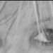 Erin's profile picture