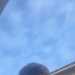 Mason's profile picture