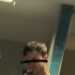 Jay's profile picture