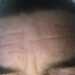 Stick's profile picture