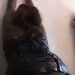 Odile's profile picture