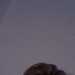 Dan's profile picture