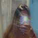 Hannah's profile picture