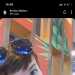 Harry's profile picture