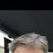 Steve's profile picture