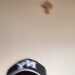 Steve's profile picture