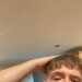 Caleb's profile picture