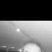 Tash's profile picture