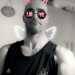 Shaun's profile picture