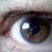 Teda's profile picture