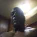 Wayne's profile picture