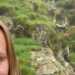 Grace's profile picture