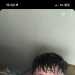Mason's profile picture